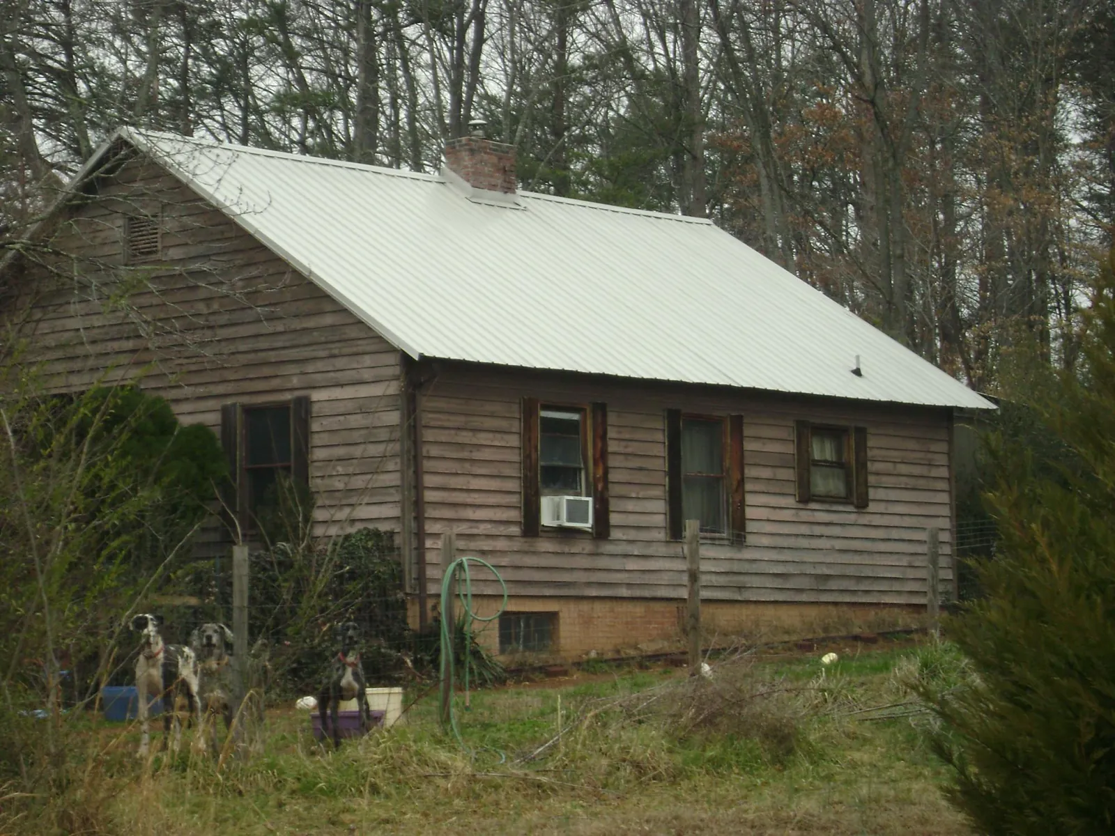 White metal roof on an old wood sided farmhouse, from a Asphalt Shingle Roof Repair job in Hacker Valley